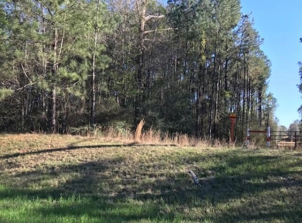 Listing Image #3 - Land for sale at 00 Hwy 26 East, Poplarville MS 39470