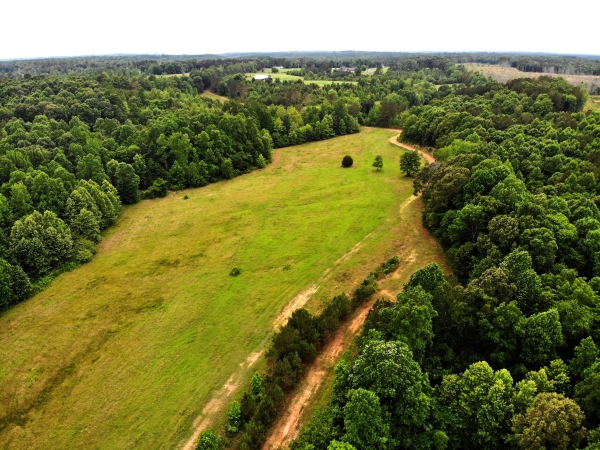 Listing Image #4 - Farm for sale at 2900 Race Path Road, Stantonville TN 38379