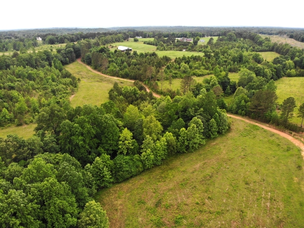Listing Image #5 - Farm for sale at 2900 Race Path Road, Stantonville TN 38379