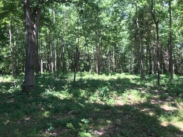Listing Image #1 - Land for sale at 4 Memory Ln, Adams TN 37010