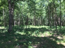Listing Image #1 - Land for sale at 4 Memory Ln, Adams TN 37010