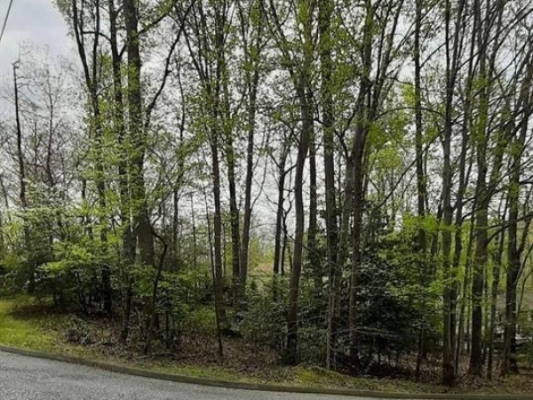 Listing Image #3 - Land for sale at 12448 Painted Horse Trail, Lusby MD 20657