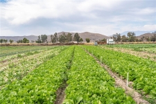 Land property for sale in WINCHESTER, CA