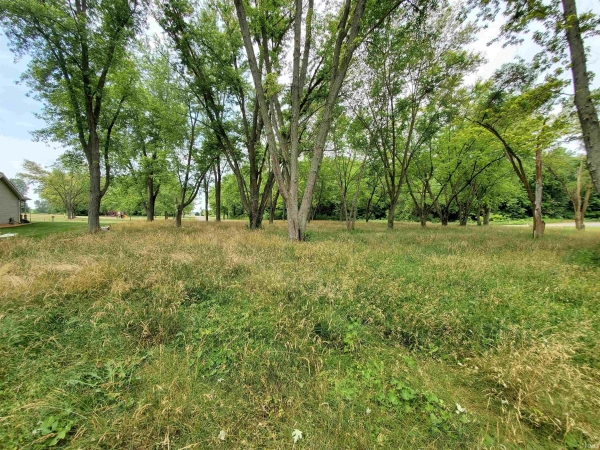 Listing Image #2 - Others for sale at Ln 220 Lot 29 Lane, Hudson IN 46747