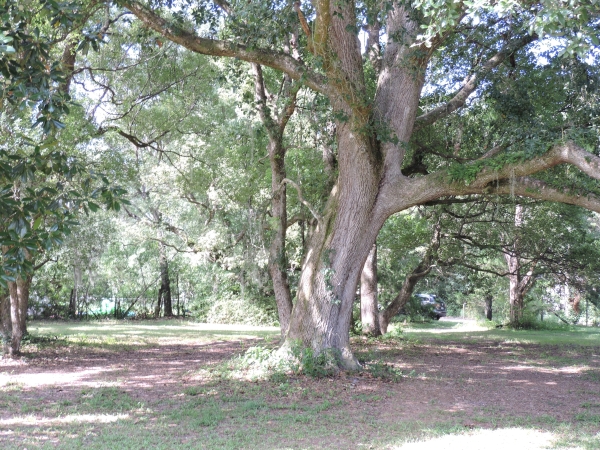 Listing Image #1 - Land for sale at 1404 Pacetti Rd, Green Cove Springs FL 32043