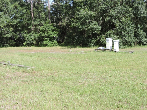 Listing Image #4 - Land for sale at 1404 Pacetti Rd, Green Cove Springs FL 32043 Listing Image #4 - Land for sale at 1404 Pacetti Rd, Green Cove Springs FL 32043