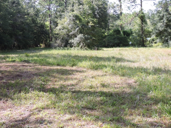 Listing Image #7 - Land for sale at 1404 Pacetti Rd, Green Cove Springs FL 32043