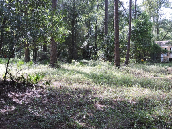 Listing Image #8 - Land for sale at 1404 Pacetti Rd, Green Cove Springs FL 32043
