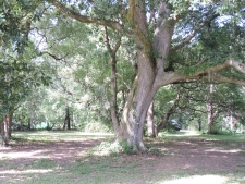 Land for sale in Green Cove Springs, FL