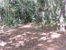 Listing Image #6 - Land for sale at 1404 Pacetti Rd, Green Cove Springs FL 32043