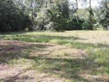 Listing Image #7 - Land for sale at 1404 Pacetti Rd, Green Cove Springs FL 32043 Listing Image #7 - Land for sale at 1404 Pacetti Rd, Green Cove Springs FL 32043
