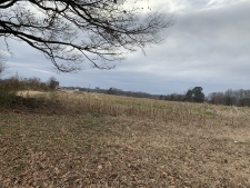 Listing Image #2 - Land for sale at Hwy 51, Troy TN 38260