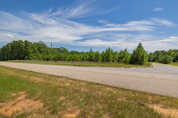 Listing Image #2 - Others for sale at TBD Dove Manor Rd, Littleton NC 27850