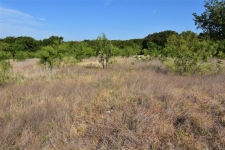 Listing Image #3 - Land for sale at 323 N Denton Street, Weatherford TX 76086