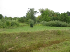 Land property for sale in Perry, MI