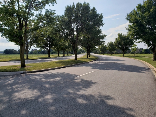 Listing Image #3 - Land for sale at Dayfield Dr & Rte 59 Lots 1, 2, & 3, Plainfield IL 60586