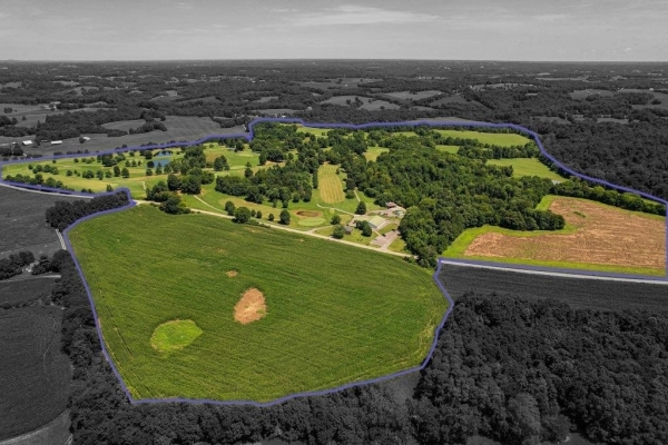 Listing Image #2 - Others for sale at 6198 Randolph Summer Shade Road, Edmonton KY 42166