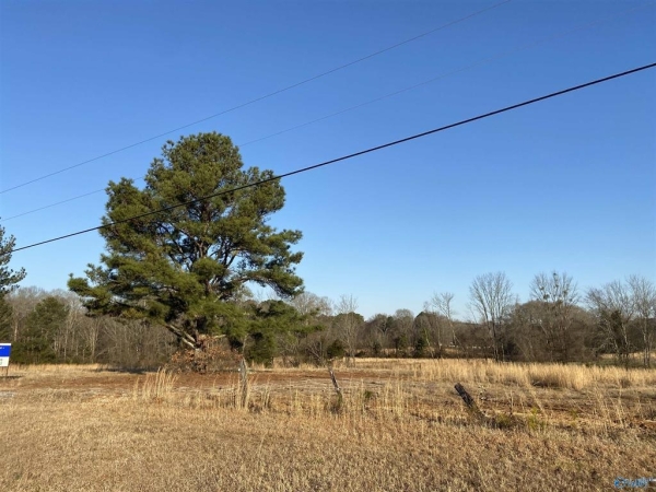 Listing Image #1 - Others for sale at Upper River Road, Decatur AL 35603