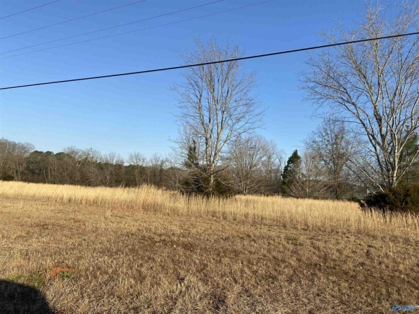 Listing Image #3 - Others for sale at Upper River Road, Decatur AL 35603