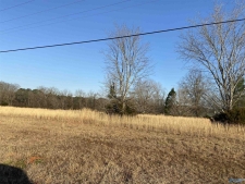 Listing Image #3 - Others for sale at Upper River Road, Decatur AL 35603