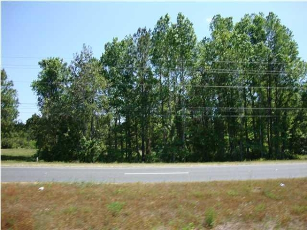 Listing Image #1 - Land for sale at 11802 Highway 77, Southport FL 32409