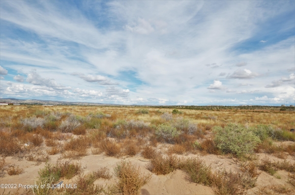 Listing Image #2 - Others for sale at 49 ROAD 4980, Bloomfield NM 87413