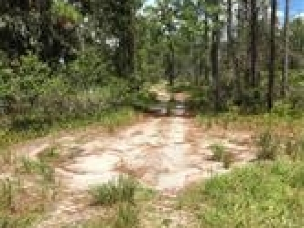 Listing Image #3 - Land for sale at 6222 Rock Ter., Sebring FL 33875