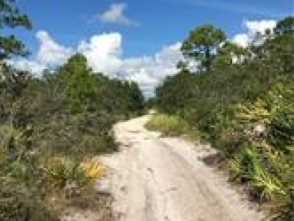 Listing Image #3 - Land for sale at 2113 Algonquin Dr., Sebring FL 33875 Listing Image #3 - Land for sale at 2113 Algonquin Dr., Sebring FL 33875