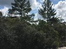 Listing Image #2 - Land for sale at 2113 Algonquin Dr., Sebring FL 33875