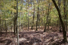 Land for sale in Pearcy, AR