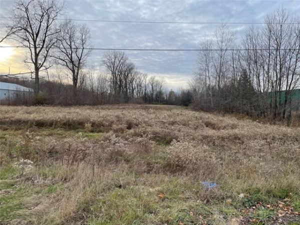 Listing Image #1 - Land for sale at 0 Vandyke, Almont MI 48003