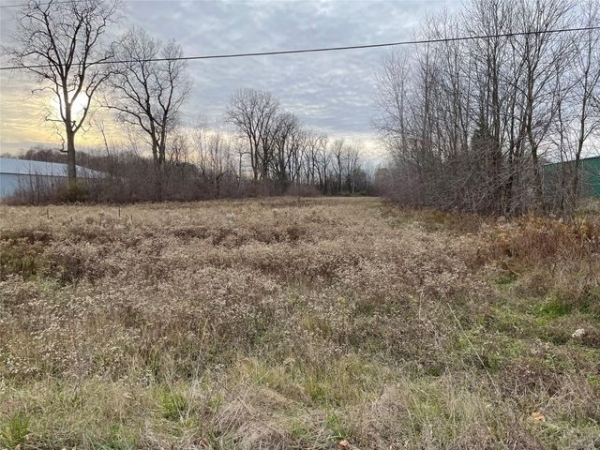 Listing Image #2 - Land for sale at 0 Vandyke, Almont MI 48003