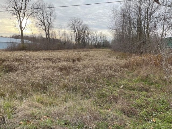 Listing Image #3 - Land for sale at 0 Vandyke, Almont MI 48003