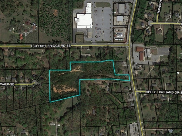 Listing Image #3 - Land for sale at Highway 20 Oglesby Bridge Rd, Conyers GA 30094