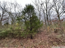 Listing Image #3 - Land for sale at Hatcher Road, SHERWOOD AR 72120