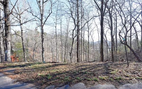 Listing Image #3 - Land for sale at Frank Lane, Murphy NC 28906