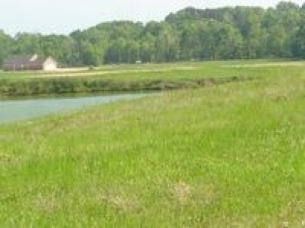 Listing Image #1 - Land for sale at Boundary Line Road, Vicksburg MS 39183 Listing Image #1 - Land for sale at Boundary Line Road, Vicksburg MS 39183