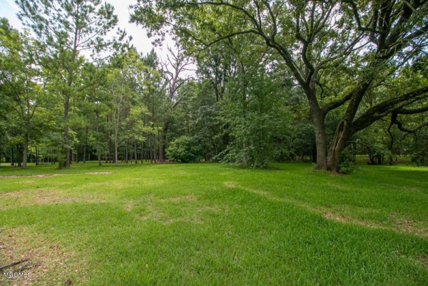 Listing Image #3 - Land for sale at 16109 Lemoyne Boulevard, Biloxi MS 39532