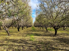 Listing Image #2 - Land for sale at Eucalyptus Avenue, Winton CA 95388