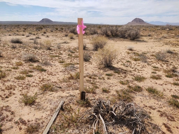 Listing Image #2 - Land for sale at 0 Vacant Land, California City CA 93536