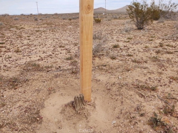 Listing Image #3 - Land for sale at 0 Vacant Land, California City CA 93536