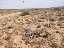 Land for sale in California City, CA
