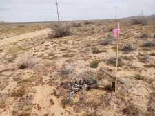 Land property for sale in CALIFORNIA CITY, CA