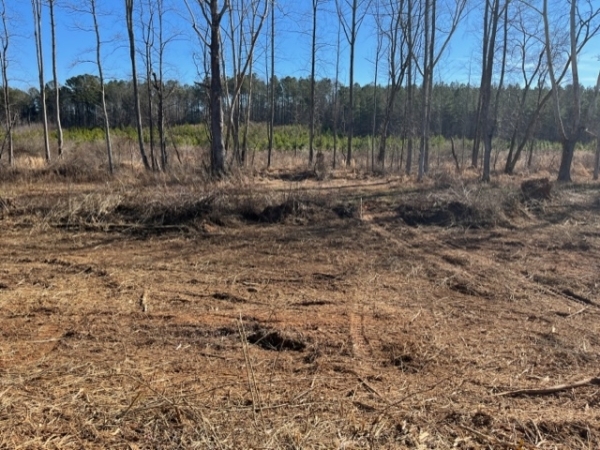Listing Image #2 - Land for sale at 0 Attaway Road Tract 11 SW 11, Roopville GA 30170