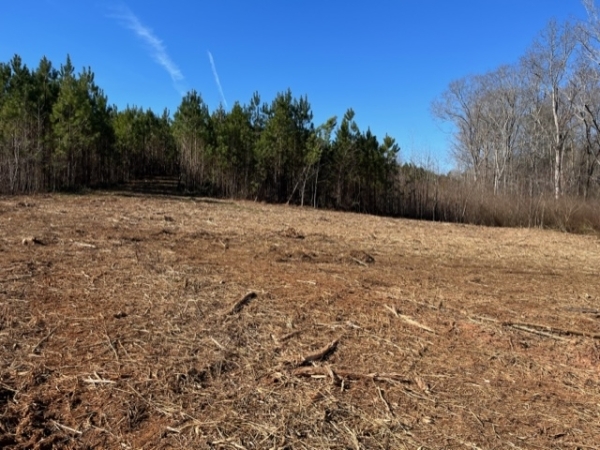 Listing Image #3 - Land for sale at 0 Attaway Road Tract 11 SW 11, Roopville GA 30170