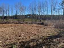 Land for sale in Roopville, GA