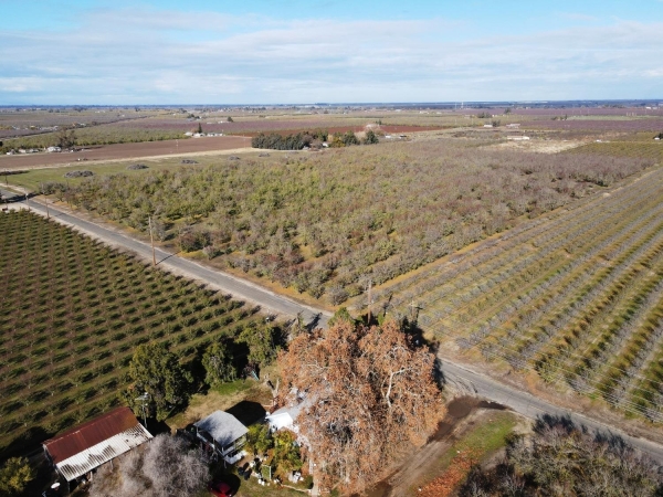 Listing Image #3 - Others for sale at Eucalyptus, Winton CA 95388