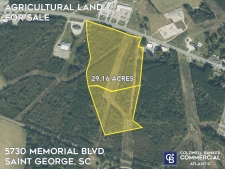 Listing Image #1 - Land for sale at 5636 Memorial Blvd, Saint George SC 29477