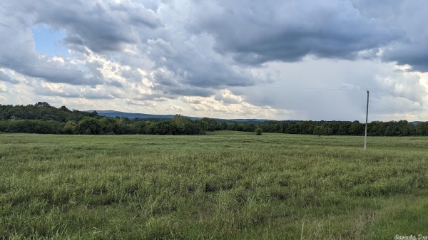 Listing Image #3 - Land for sale at Gaston Road, Norman AR 71960
