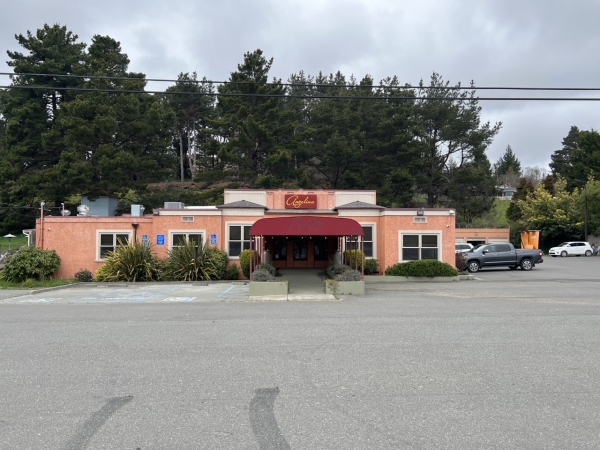 Listing Image #1 - Retail for sale at 281 Fernbridge Drive, Fernbridge CA 95540